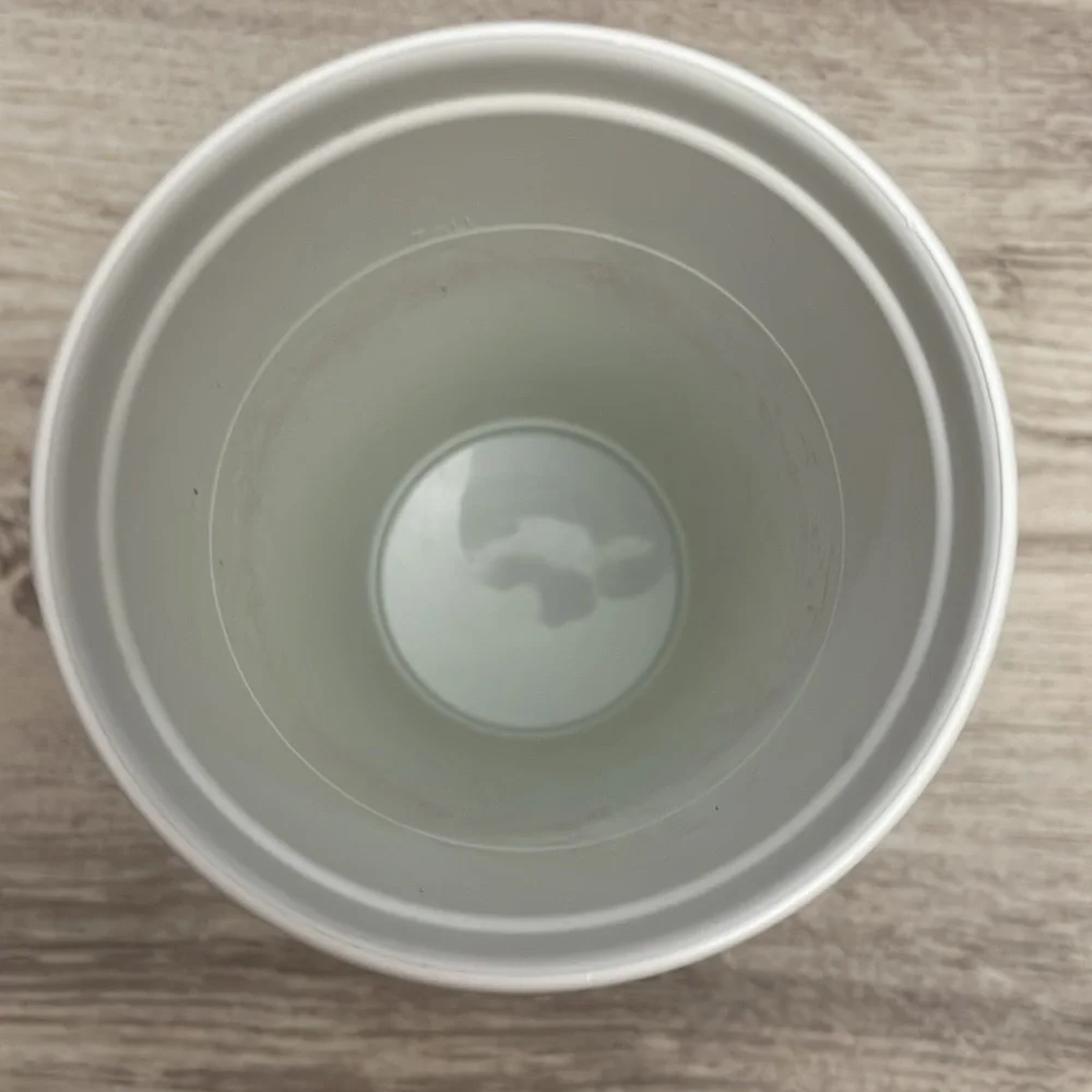 Starbucks 2014 white